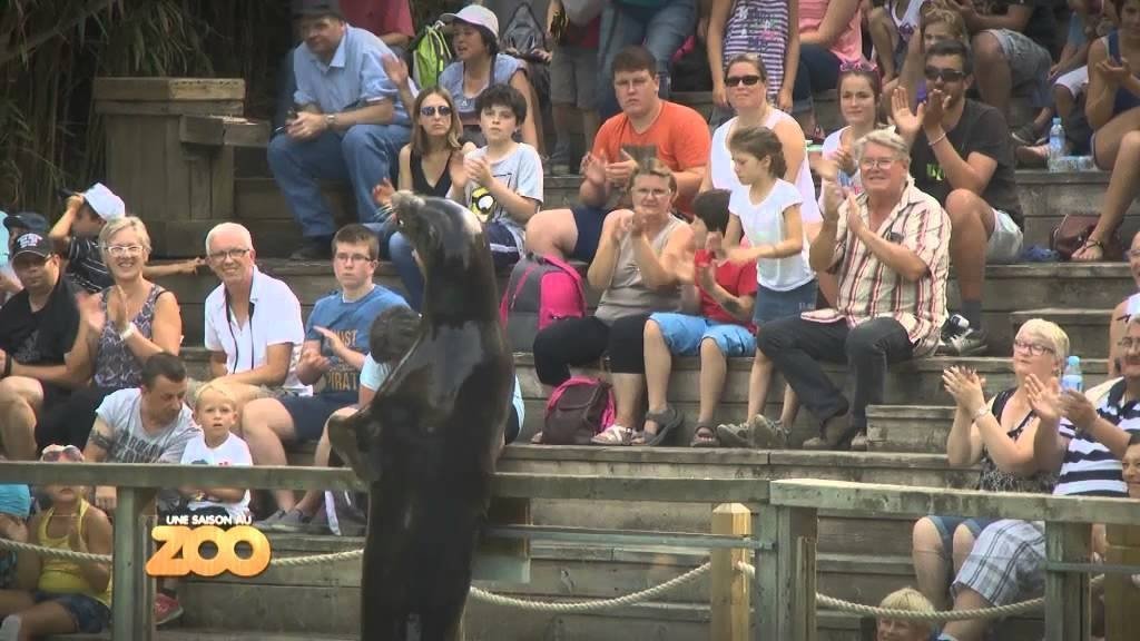 Une saison au zoo
