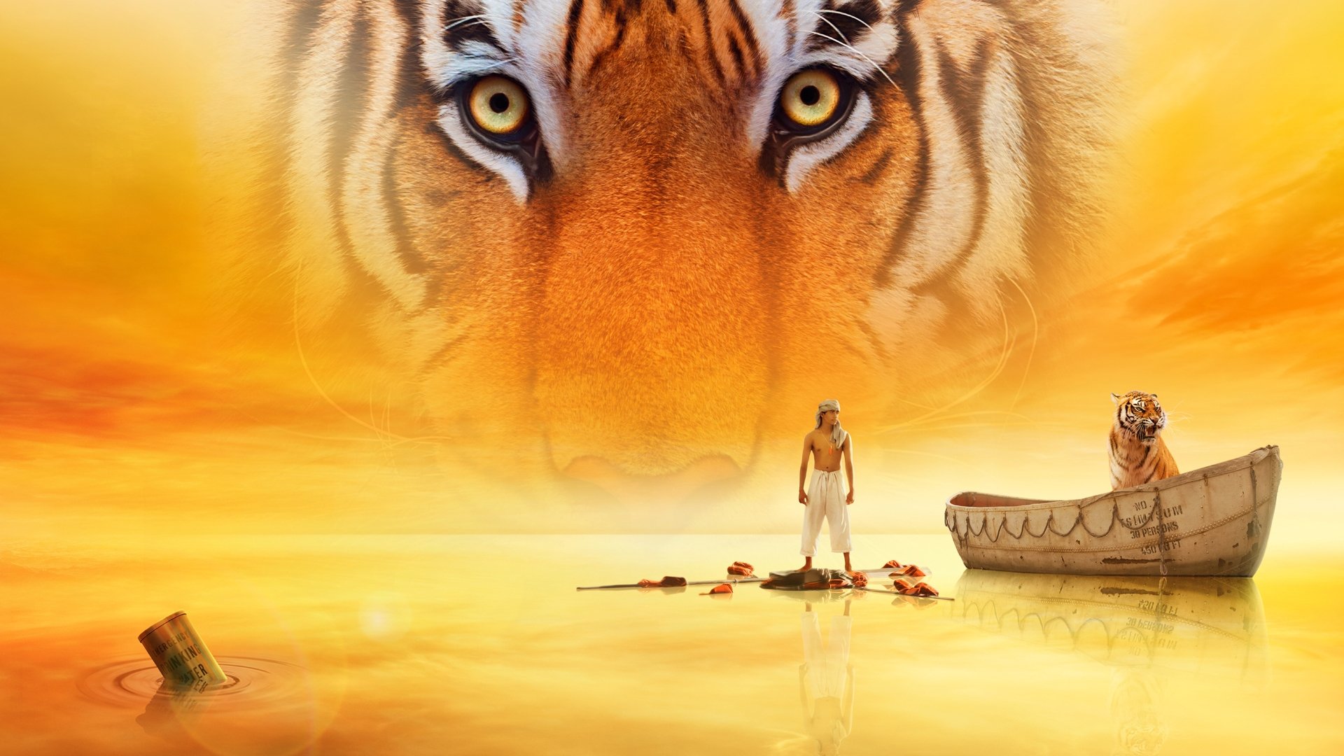 Life of Pi