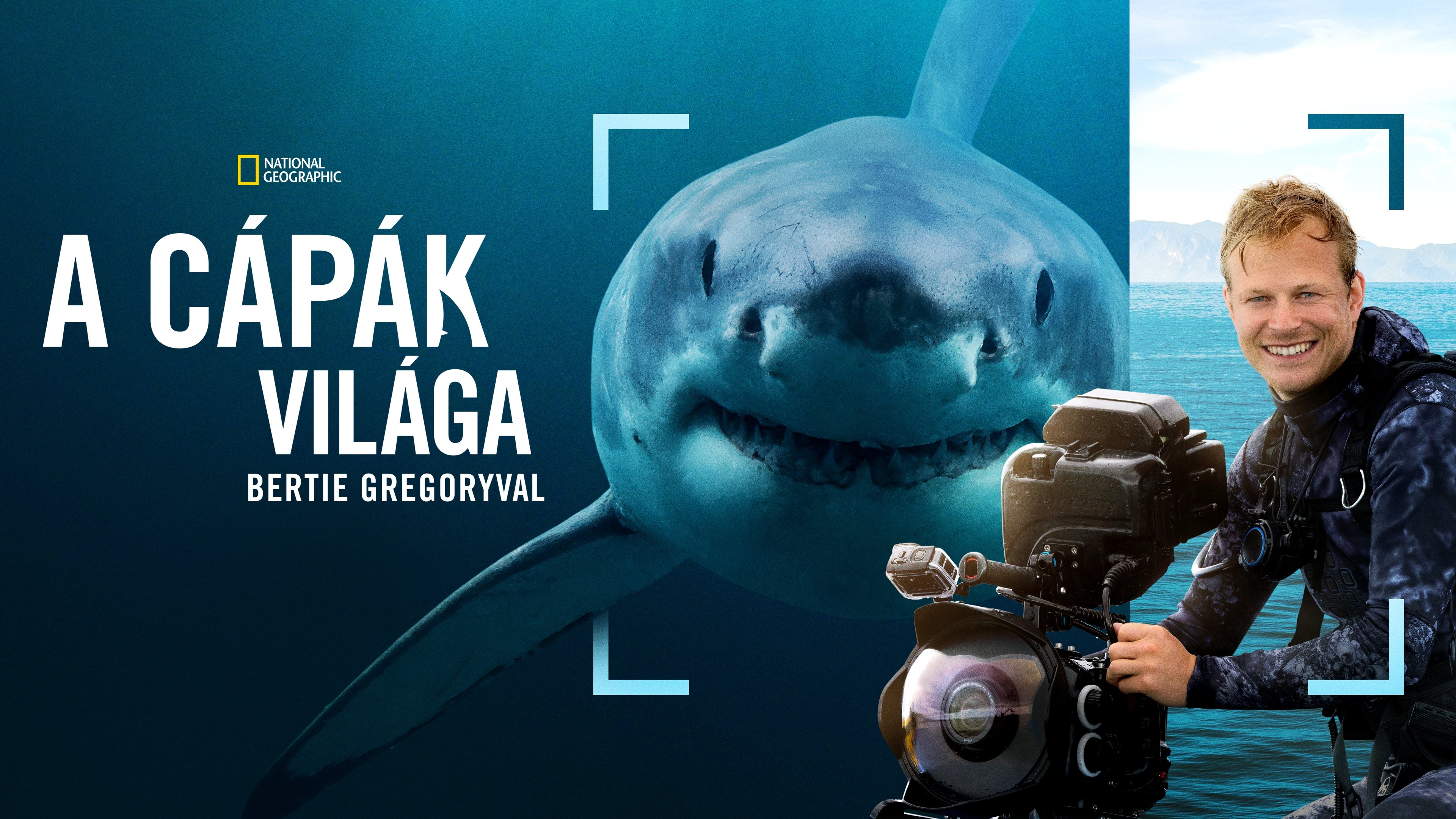 Sharks Up Close with Bertie Gregory backdrop