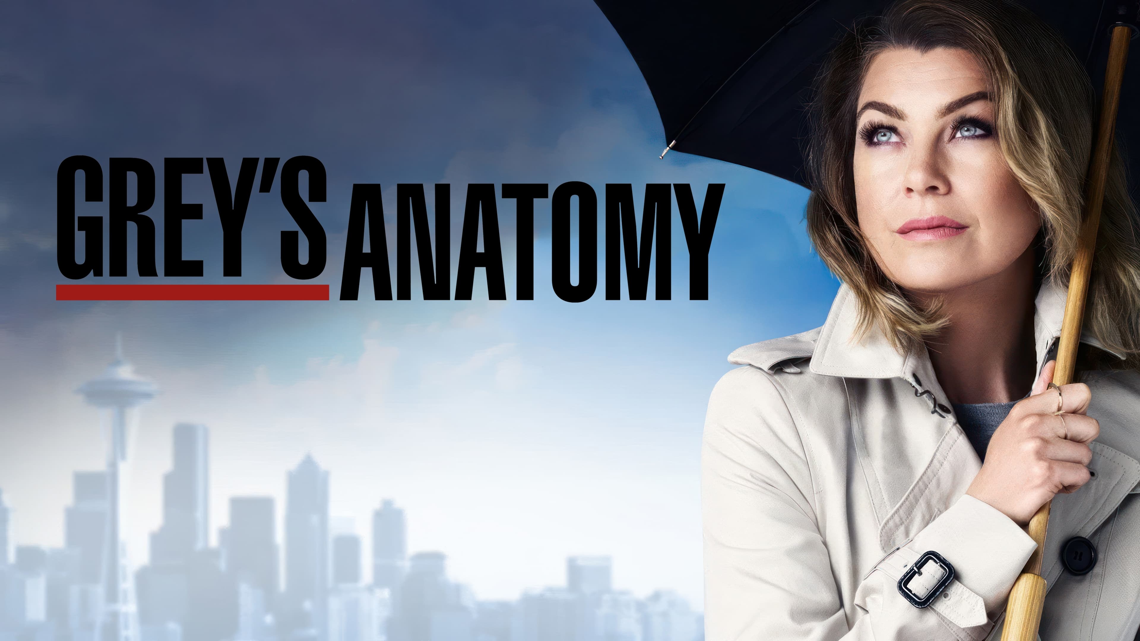 Grey's Anatomy - Season 8