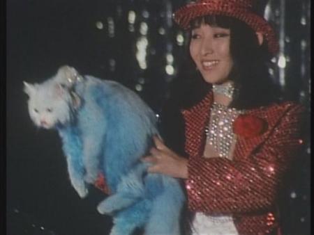 Space Sheriff Gavan