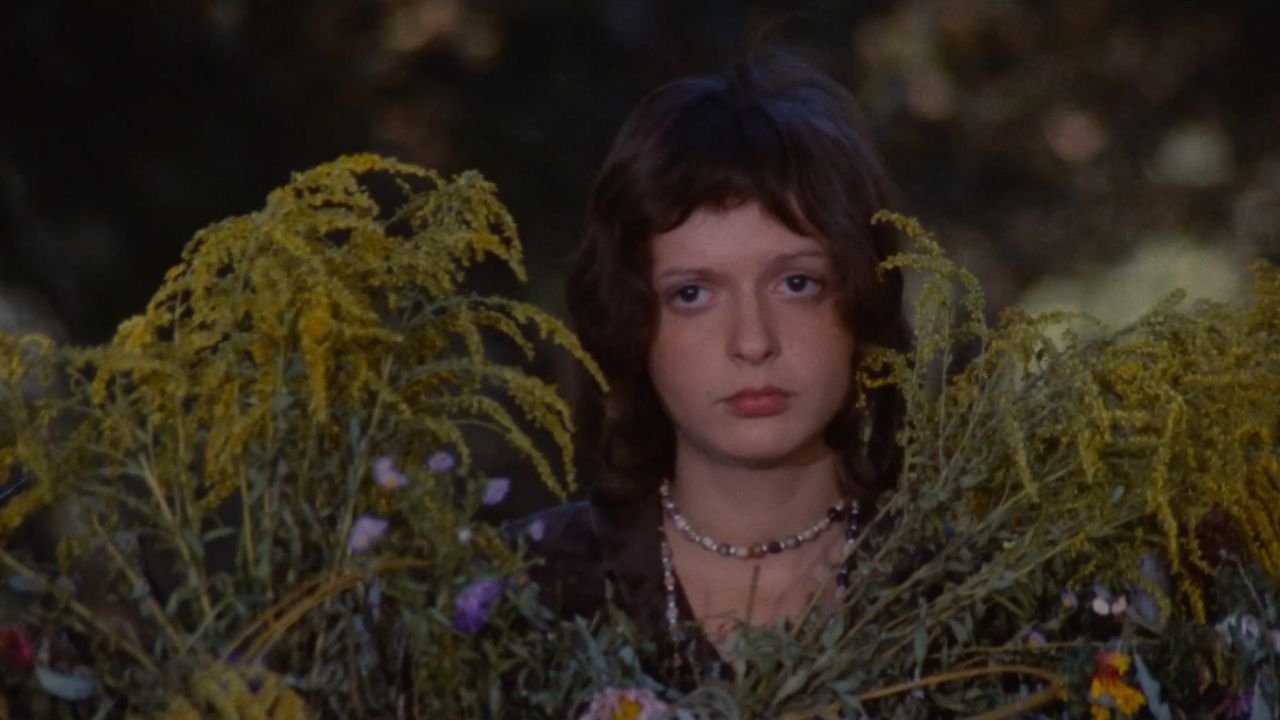 Pheasant Tomorrow (1974)