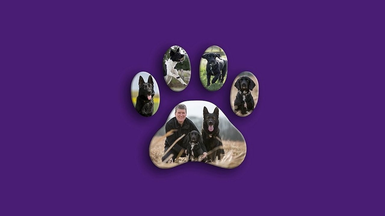 Dog Detectives poster