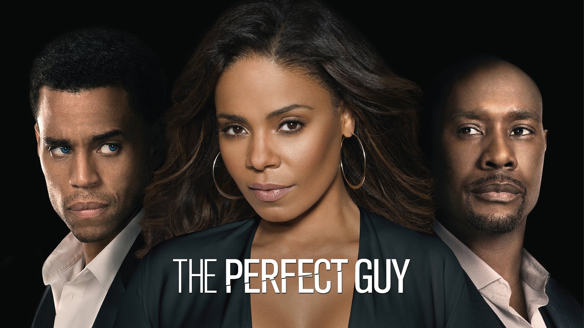 The Perfect Guy (2015)