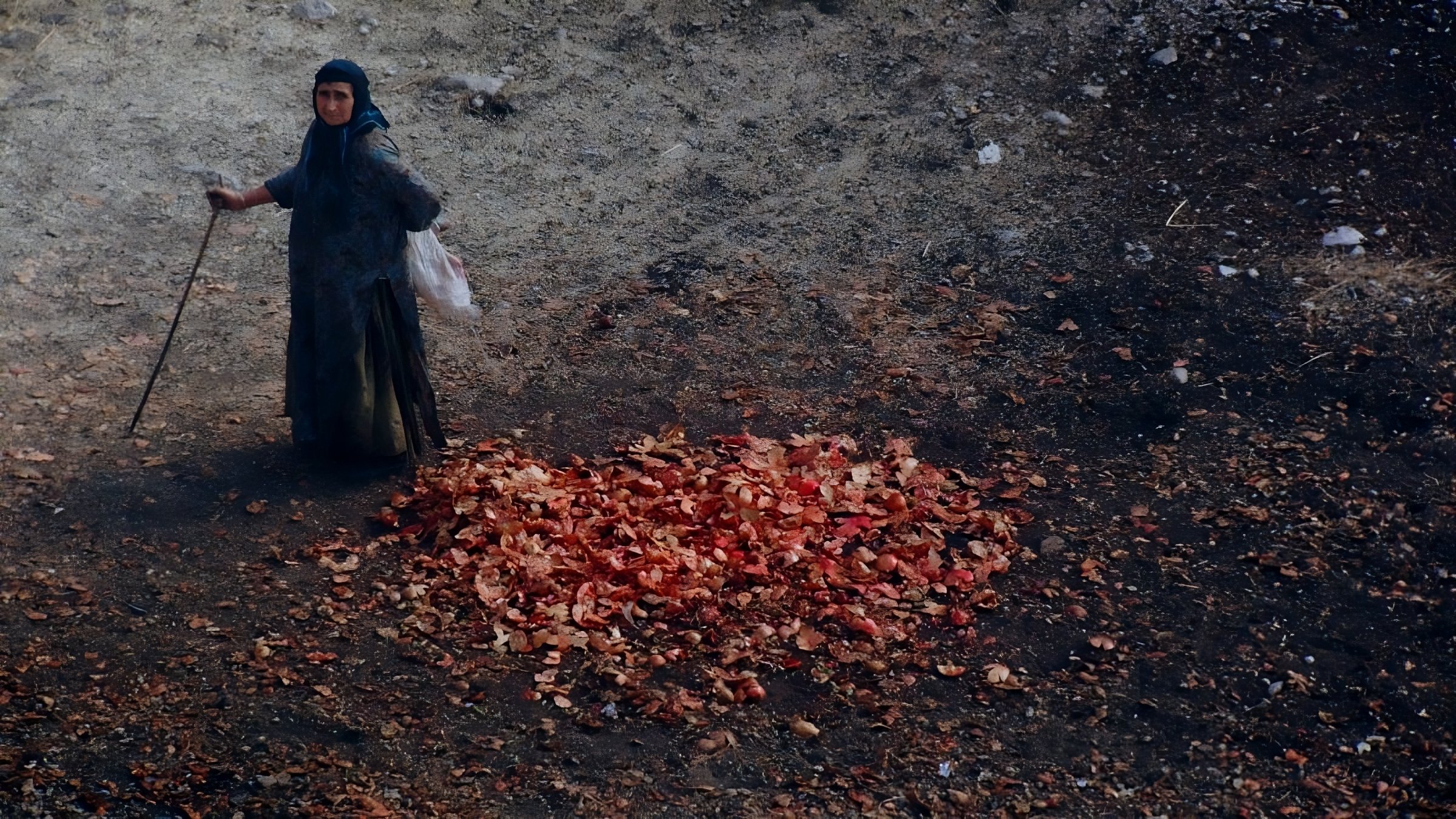 Zagros (2018)