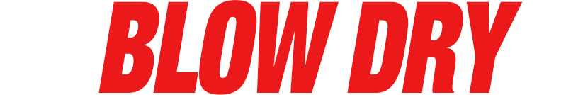 Blow Dry Logo
