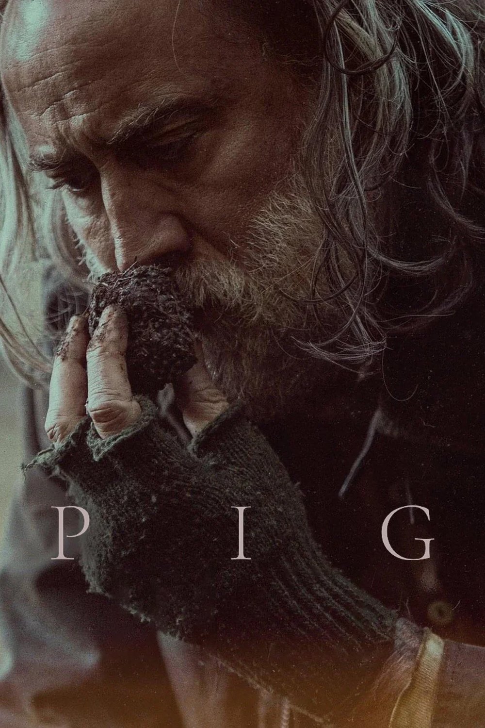 Pig