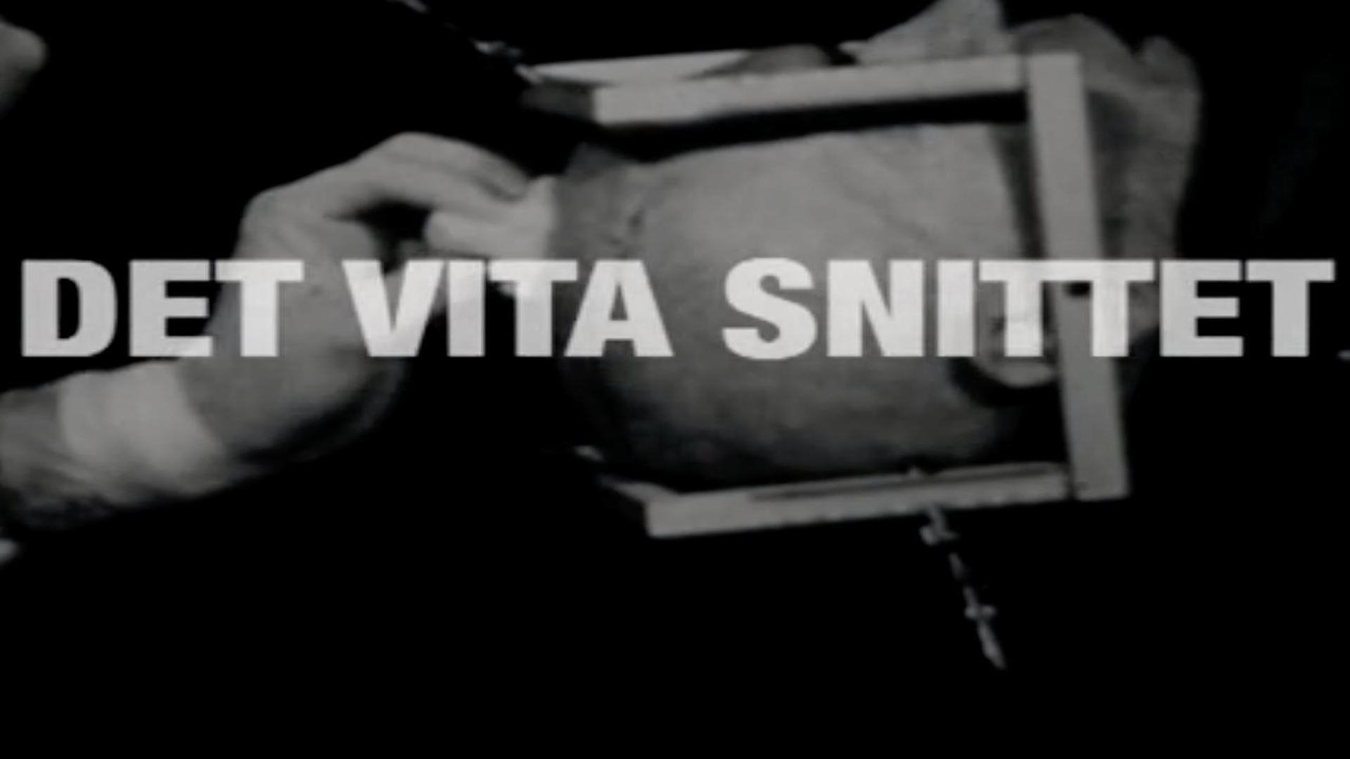 Det Vita Snittet (2010)