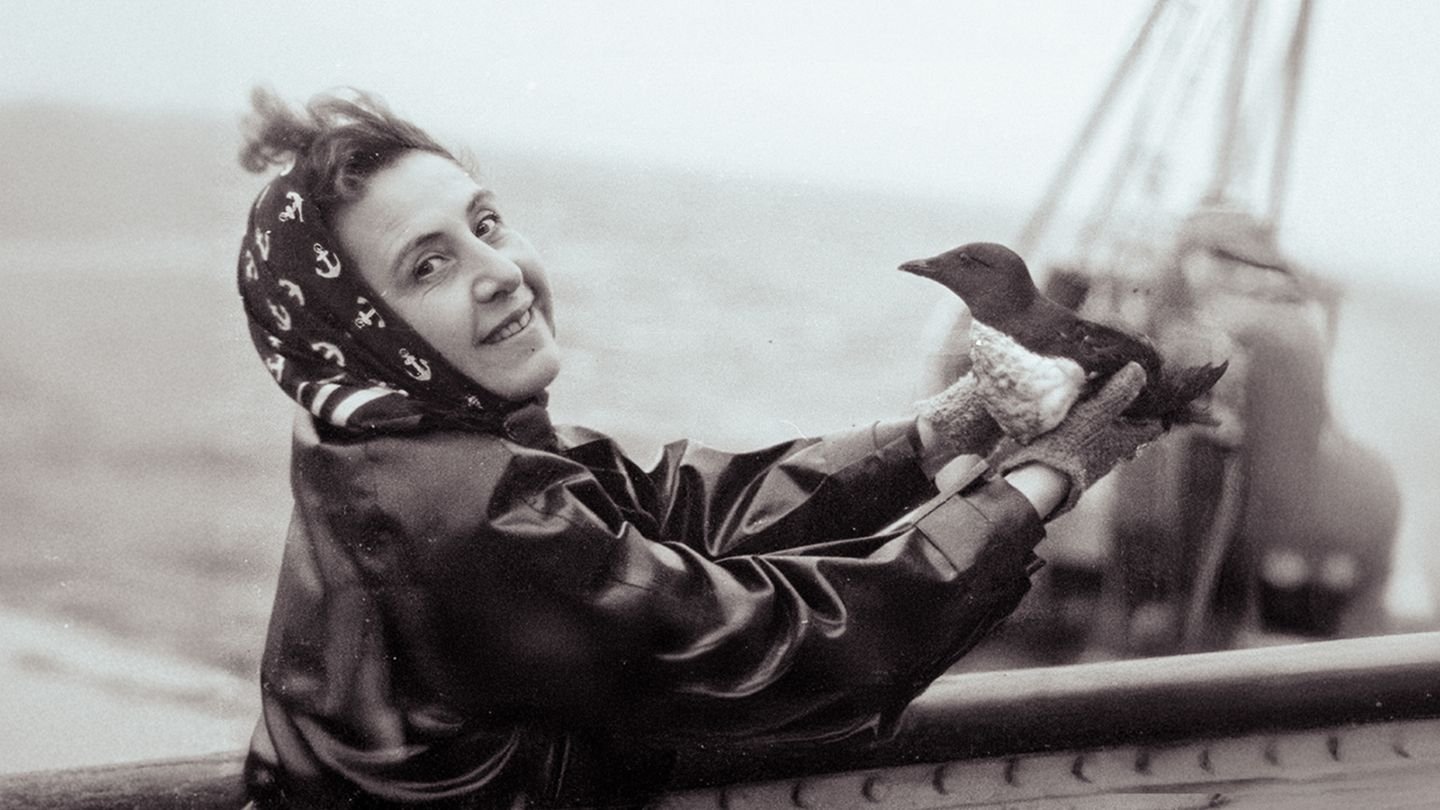 Imagem do Filme Anita Conti, l'appel du large