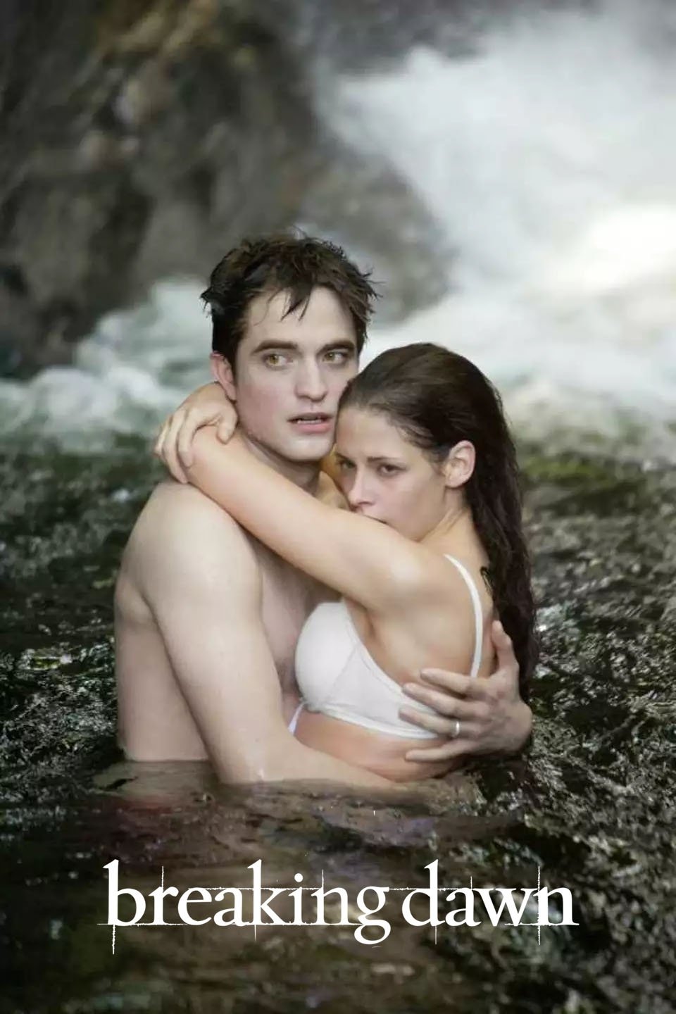 The Twilight Saga: Breaking Dawn - Part 1