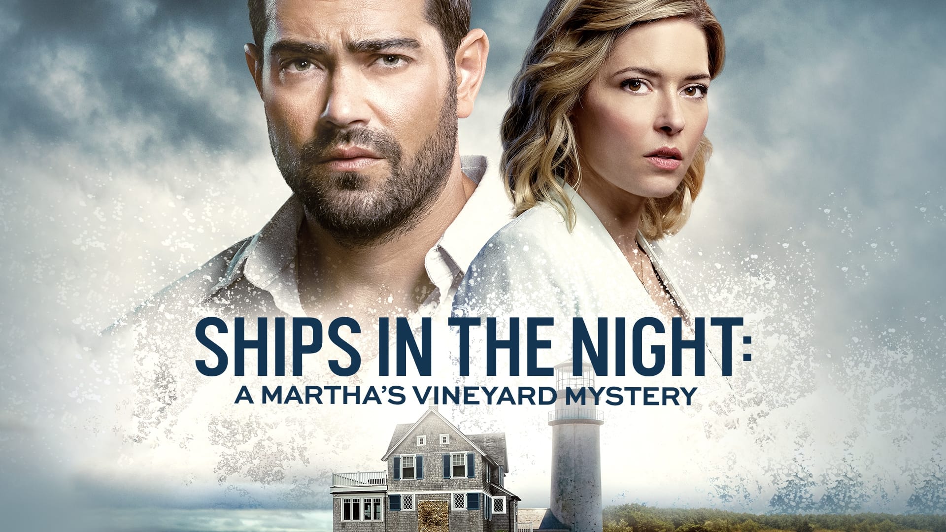 Ships in the Night: A Martha's Vineyard Mystery