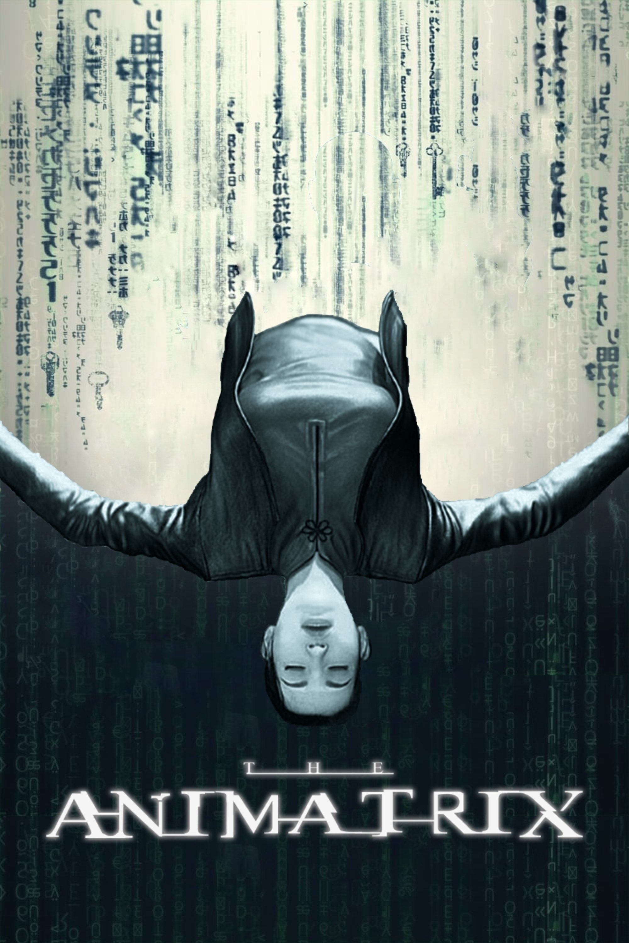 The Animatrix
