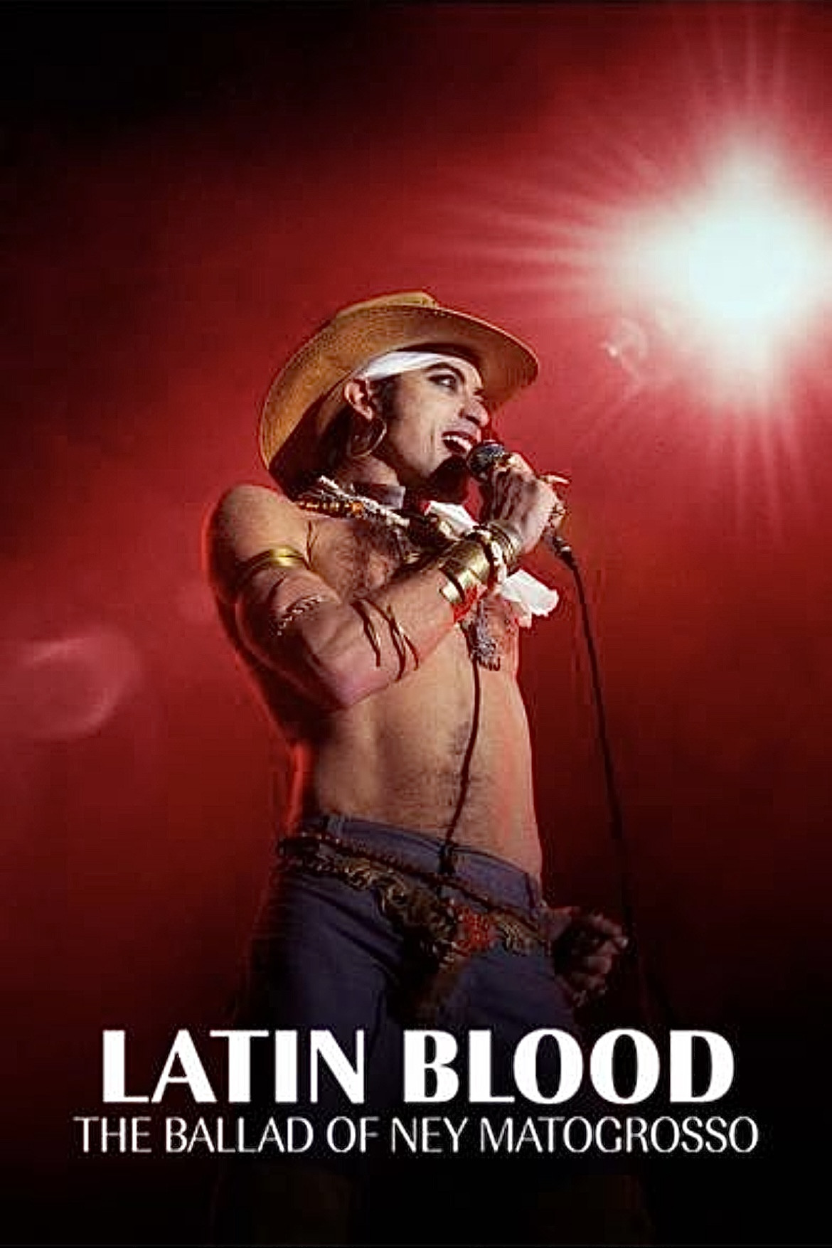 Latin Blood &ndash; The Ballad of Ney Matogrosso