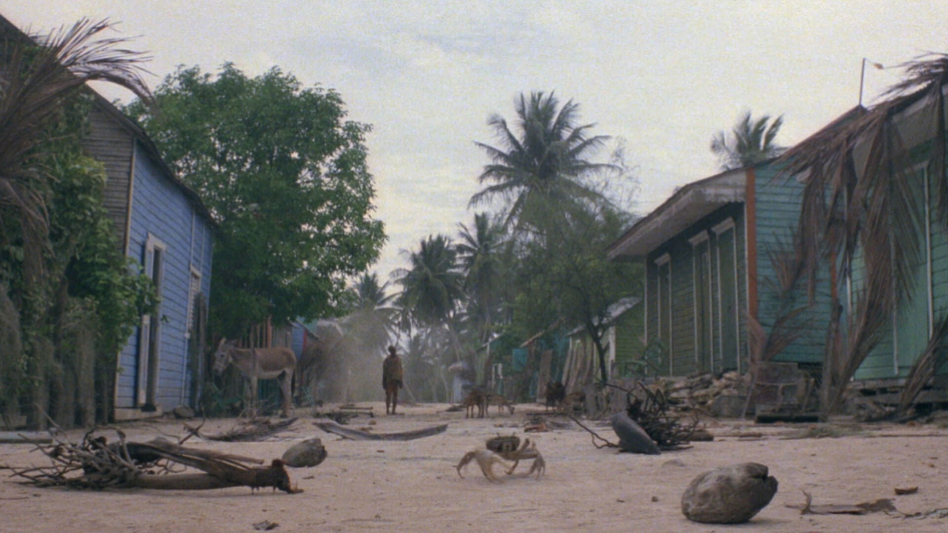 Zombie Flesh Eaters