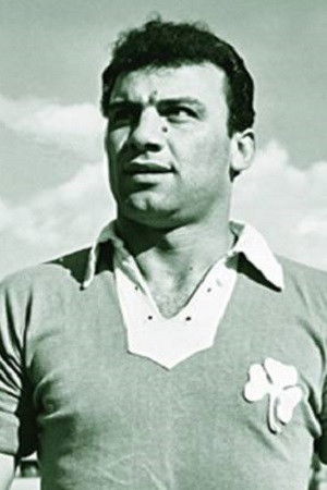 et billede af Kostas Linoxilakis