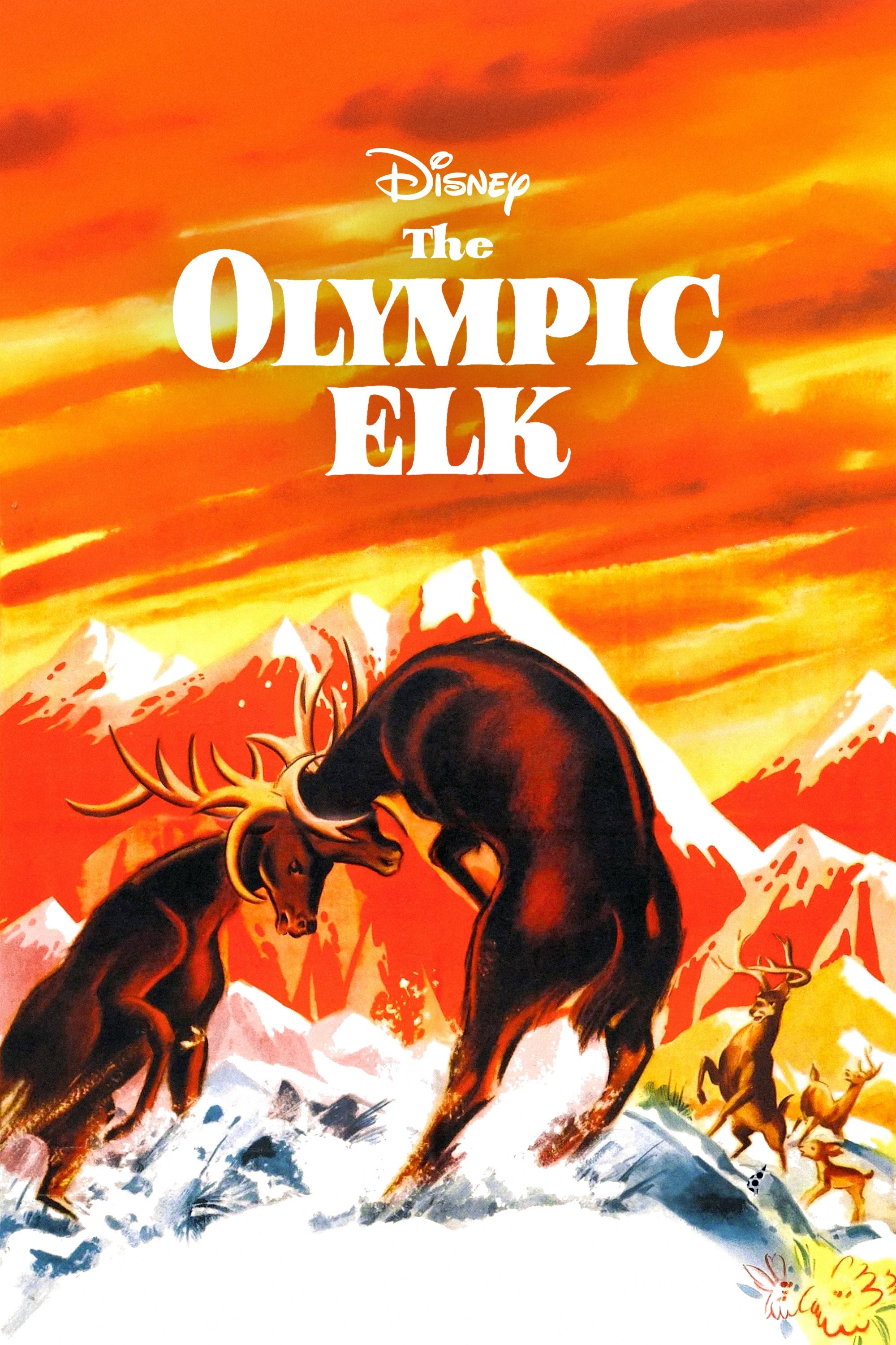 The Olympic Elk