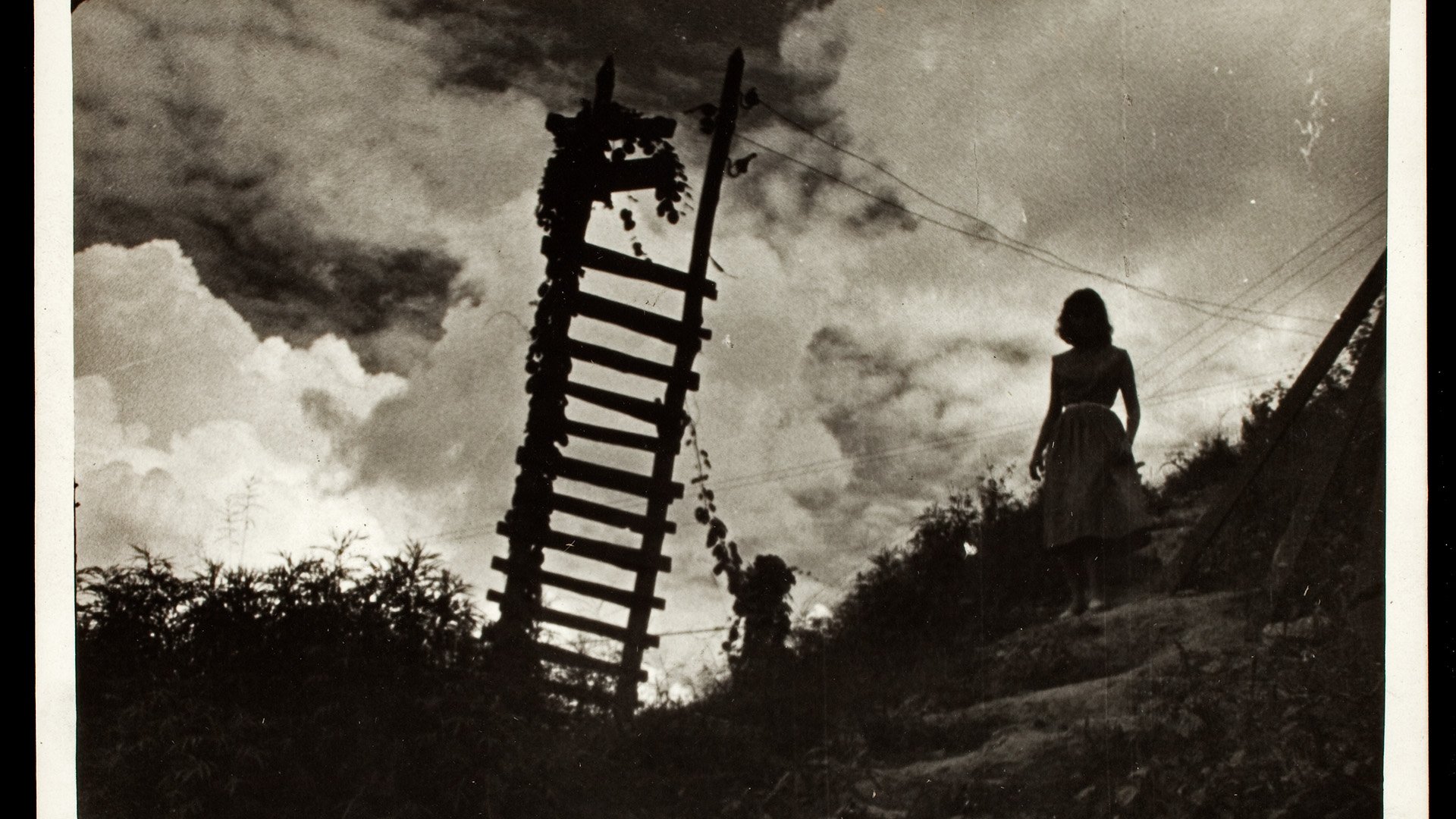 O Gigante de Pedra (1954)