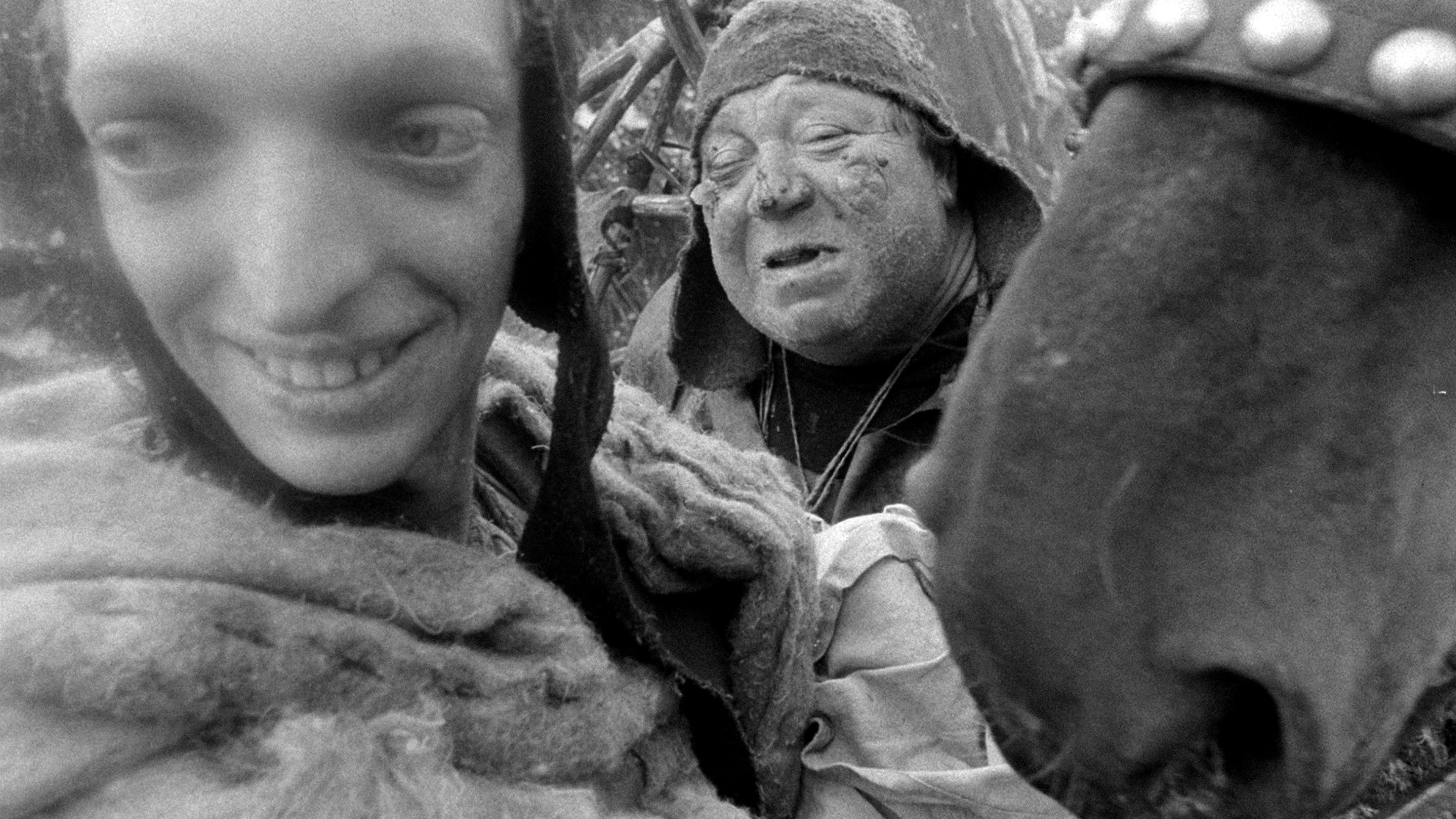 Трудно быть богом (2014)