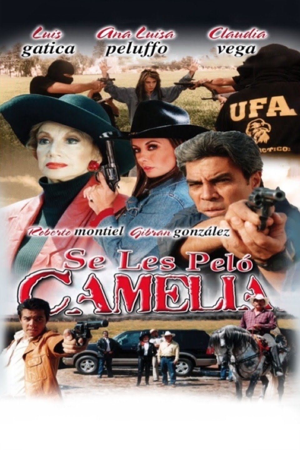 Content cover