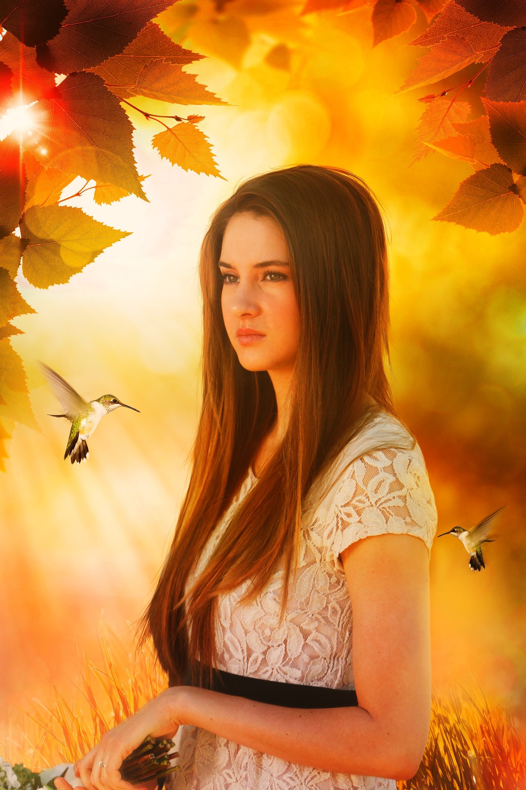 TMDB Image