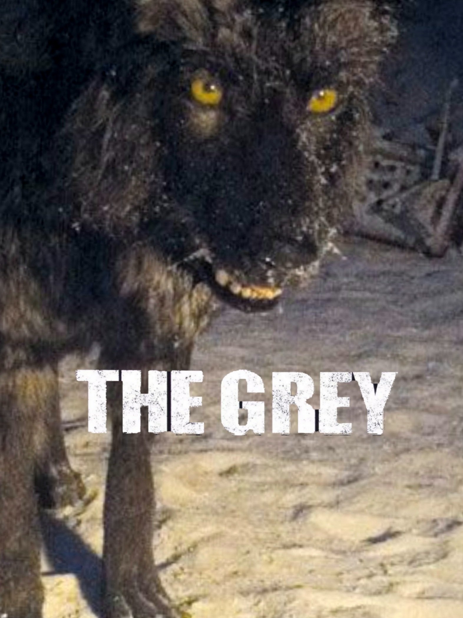 The Grey