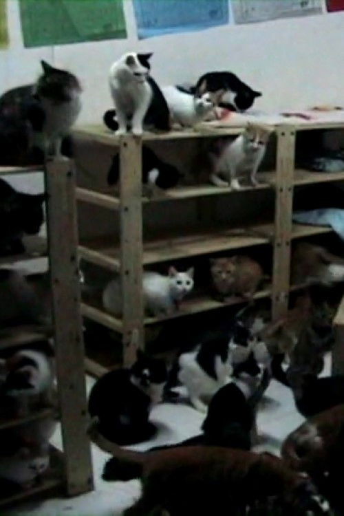 Pets' Republic of China