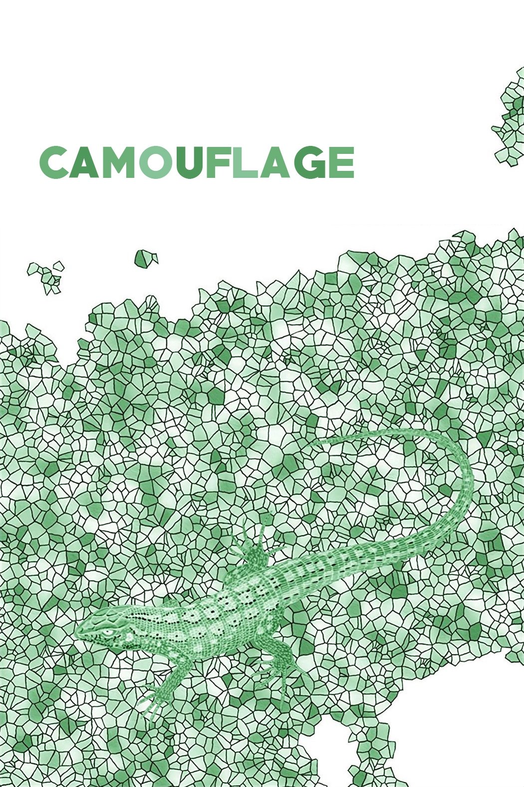 Camouflage