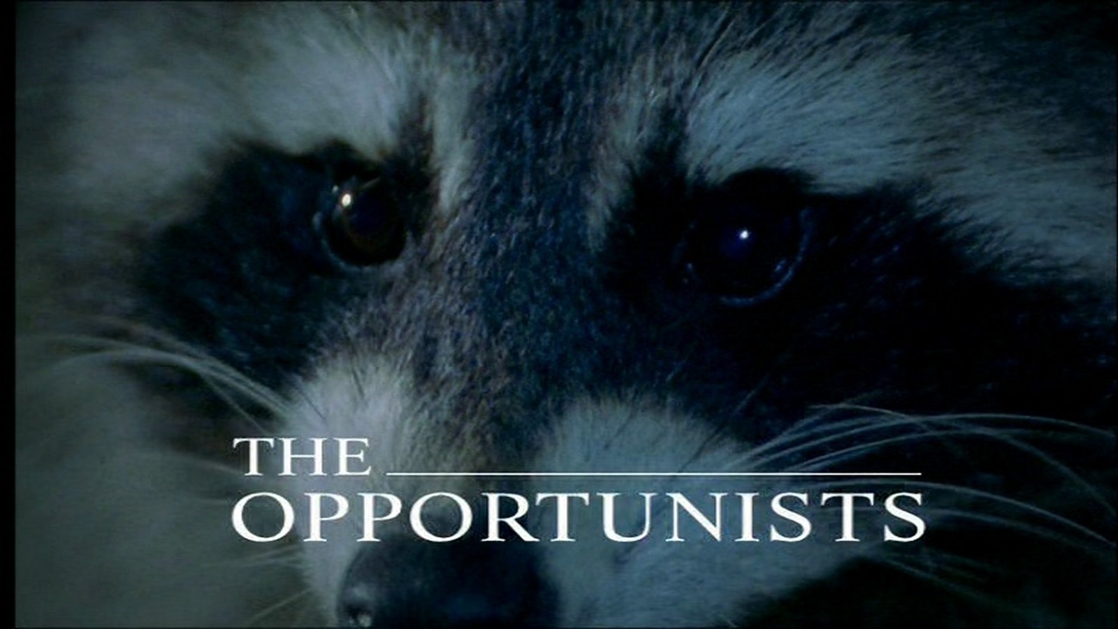 The Life of Mammals