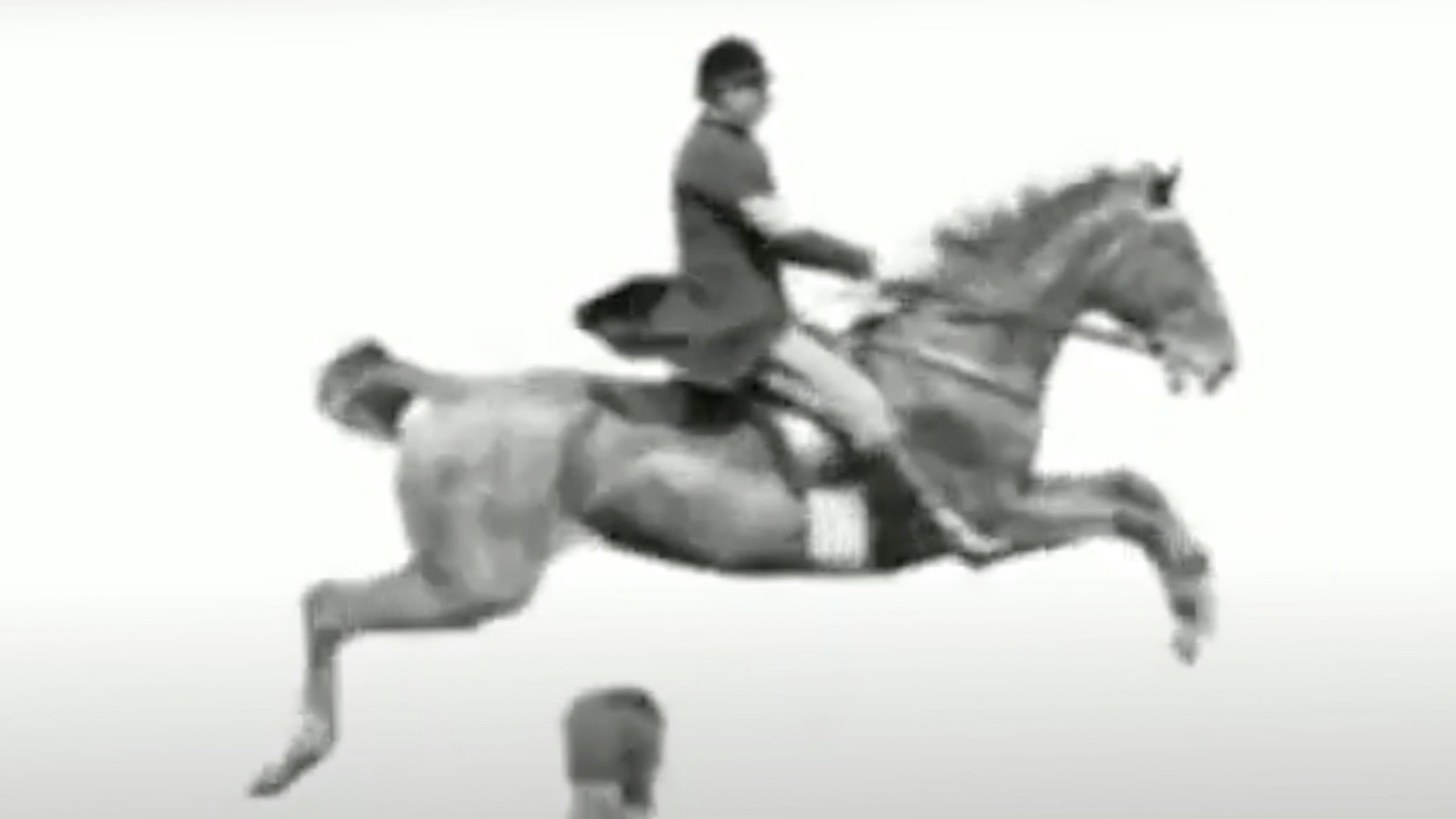 Horse and Rider Jumping Over an Obstacle background