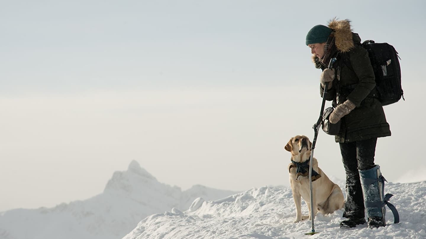 Il domani tra di noi (2017)