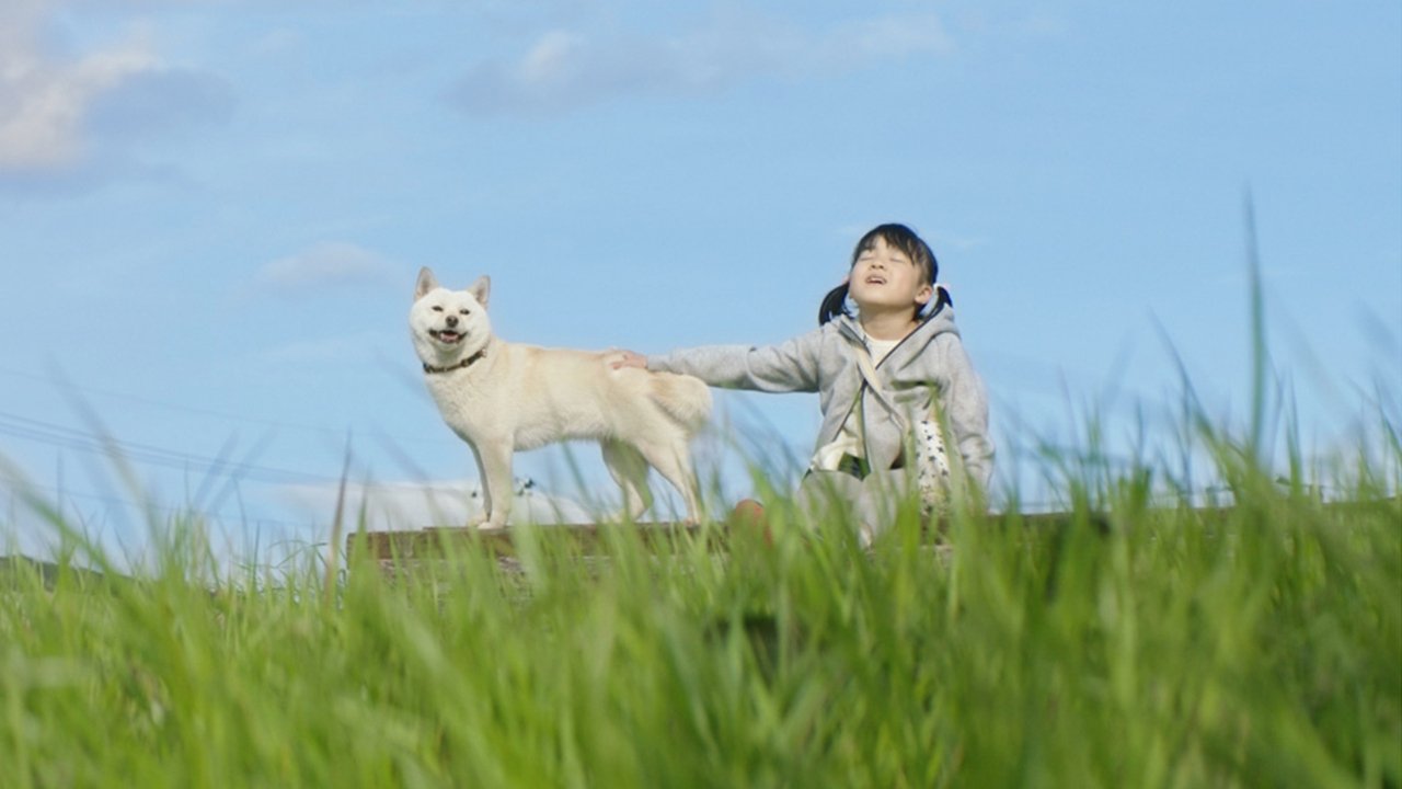 駅までの道をおしえて (2019)