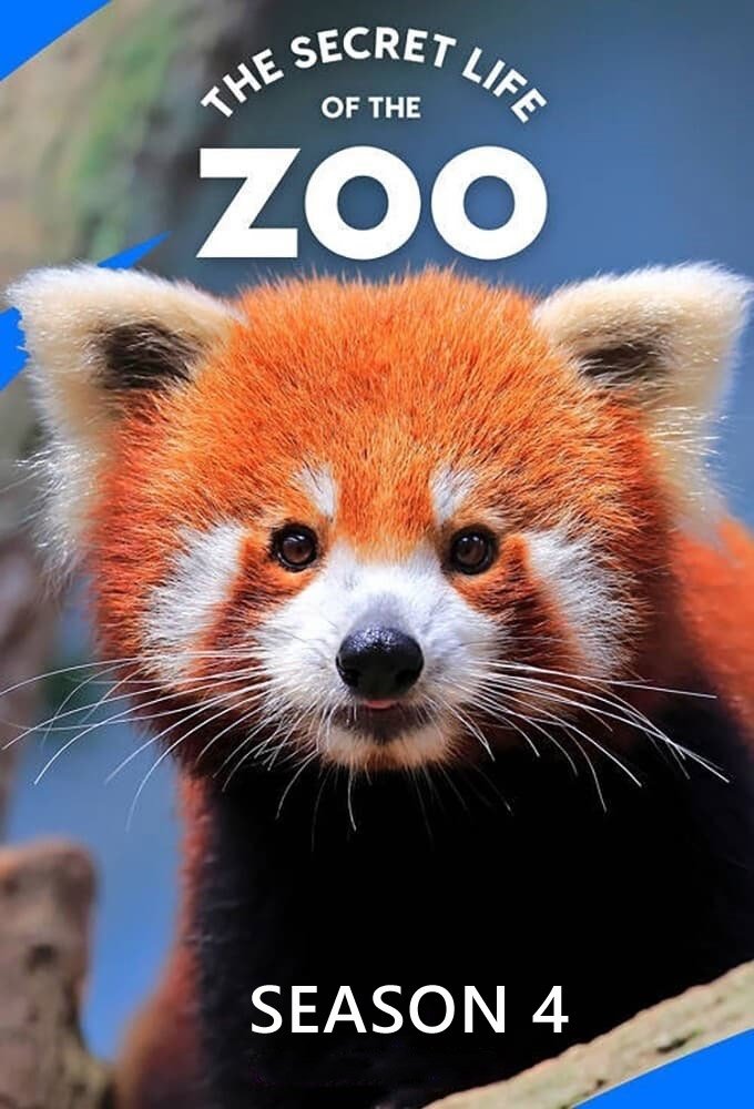 The Secret Life of the Zoo - Season 4
