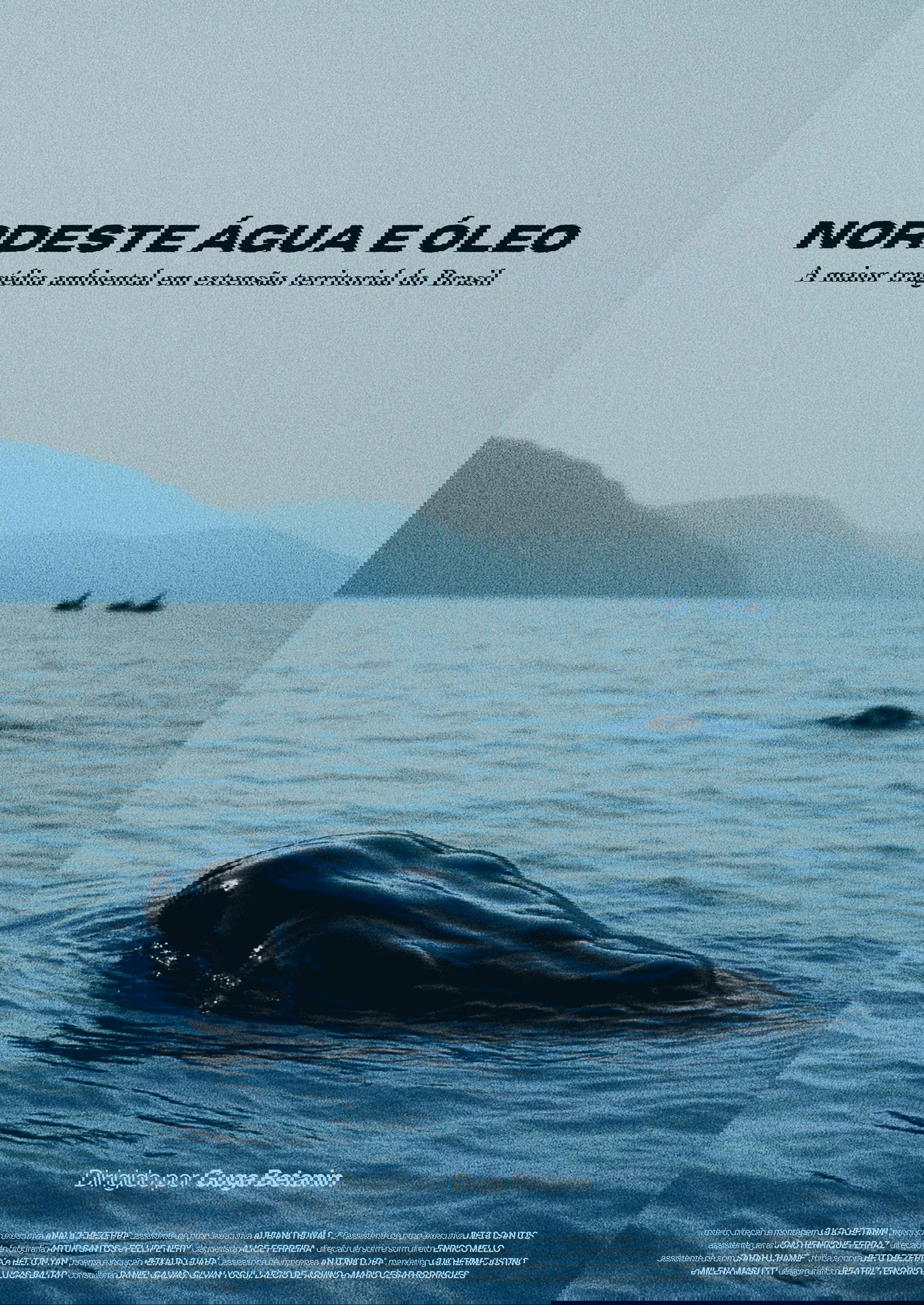 Nordeste Água e Óleo