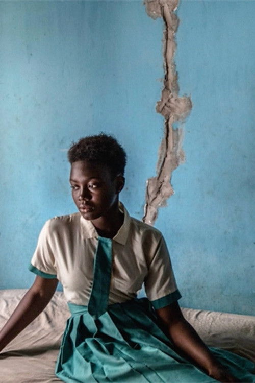 Poster for In the Wake of Loss