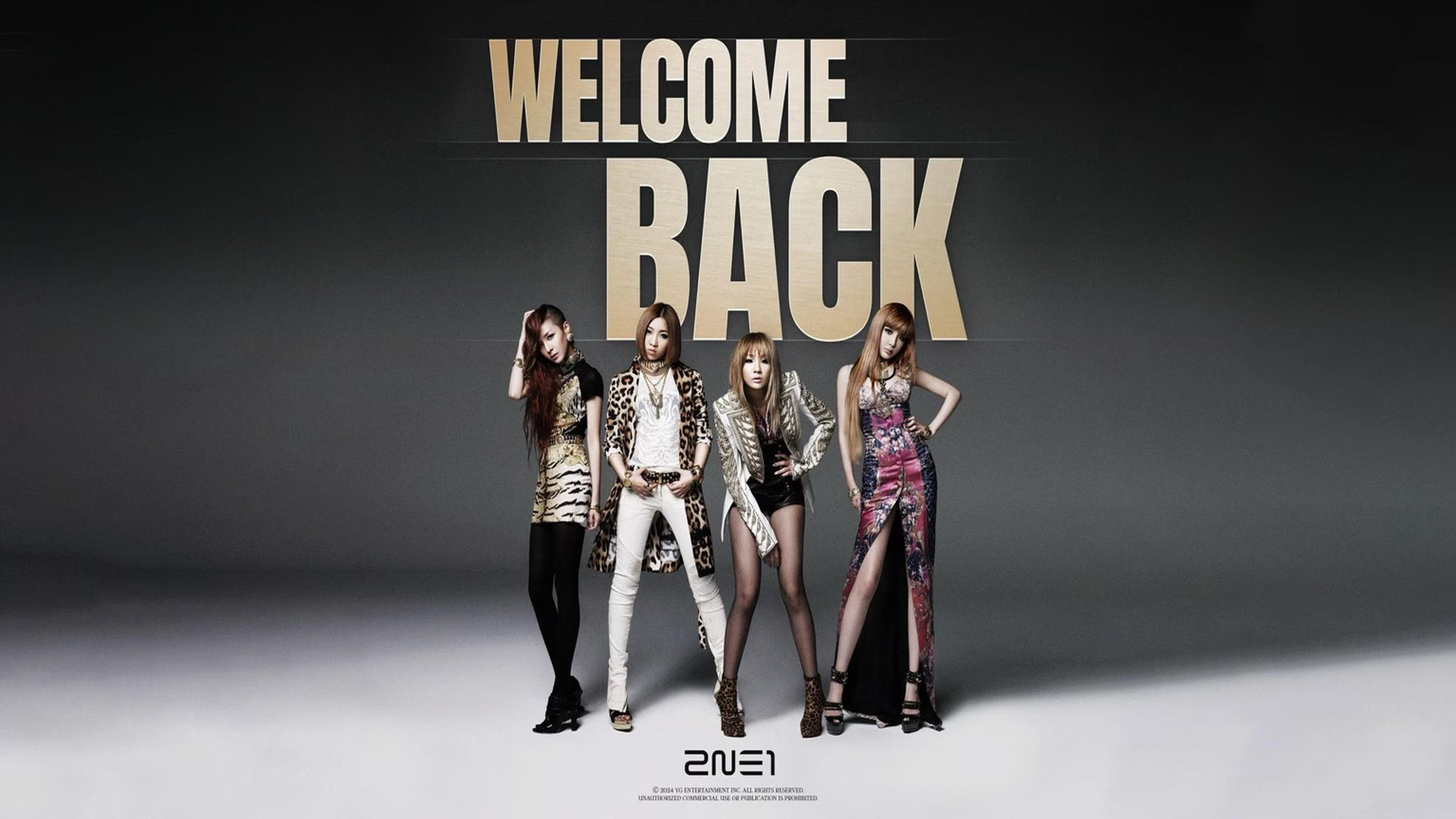2NE1 WELCOME BACK in JAPAN LIVE VIEWING