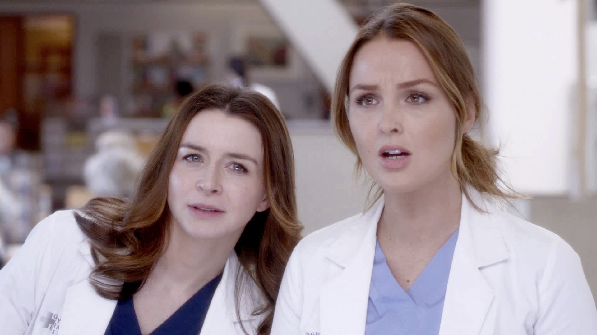 grey39s anatomy season 4 download grey39s anatomy season 4 download