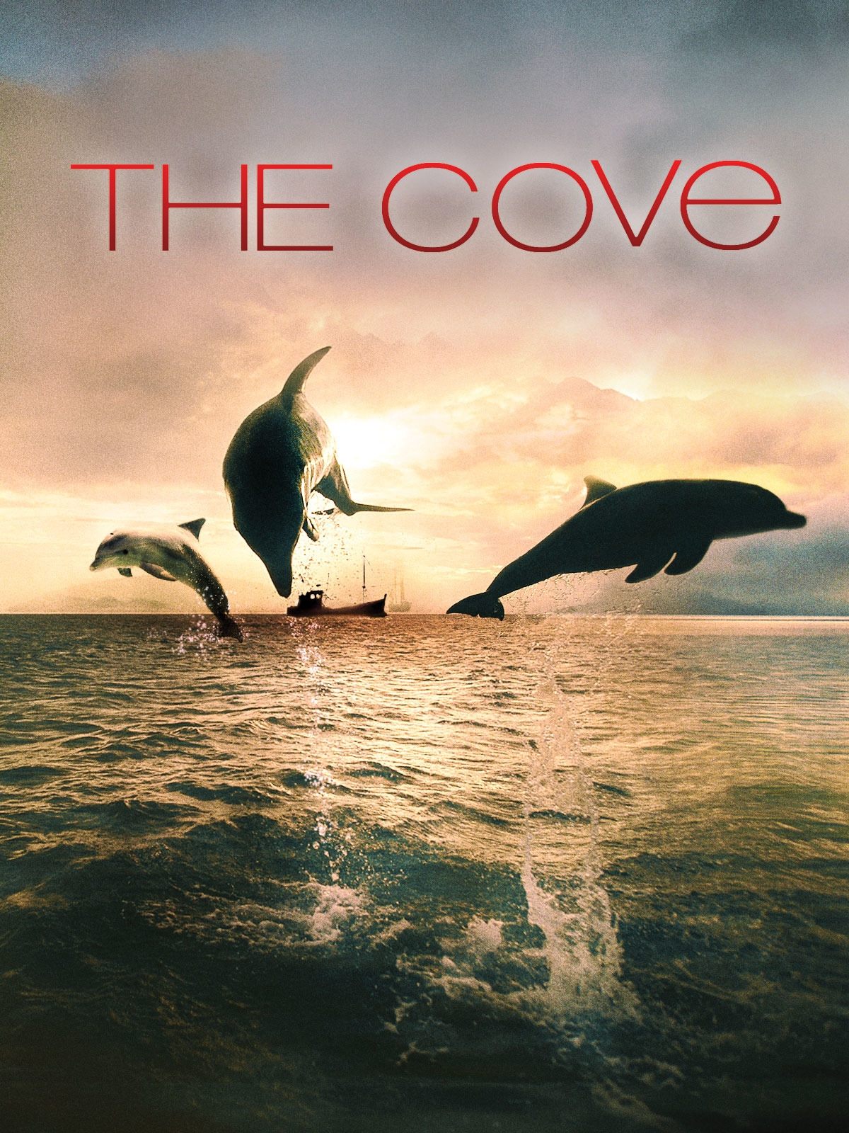 The Cove