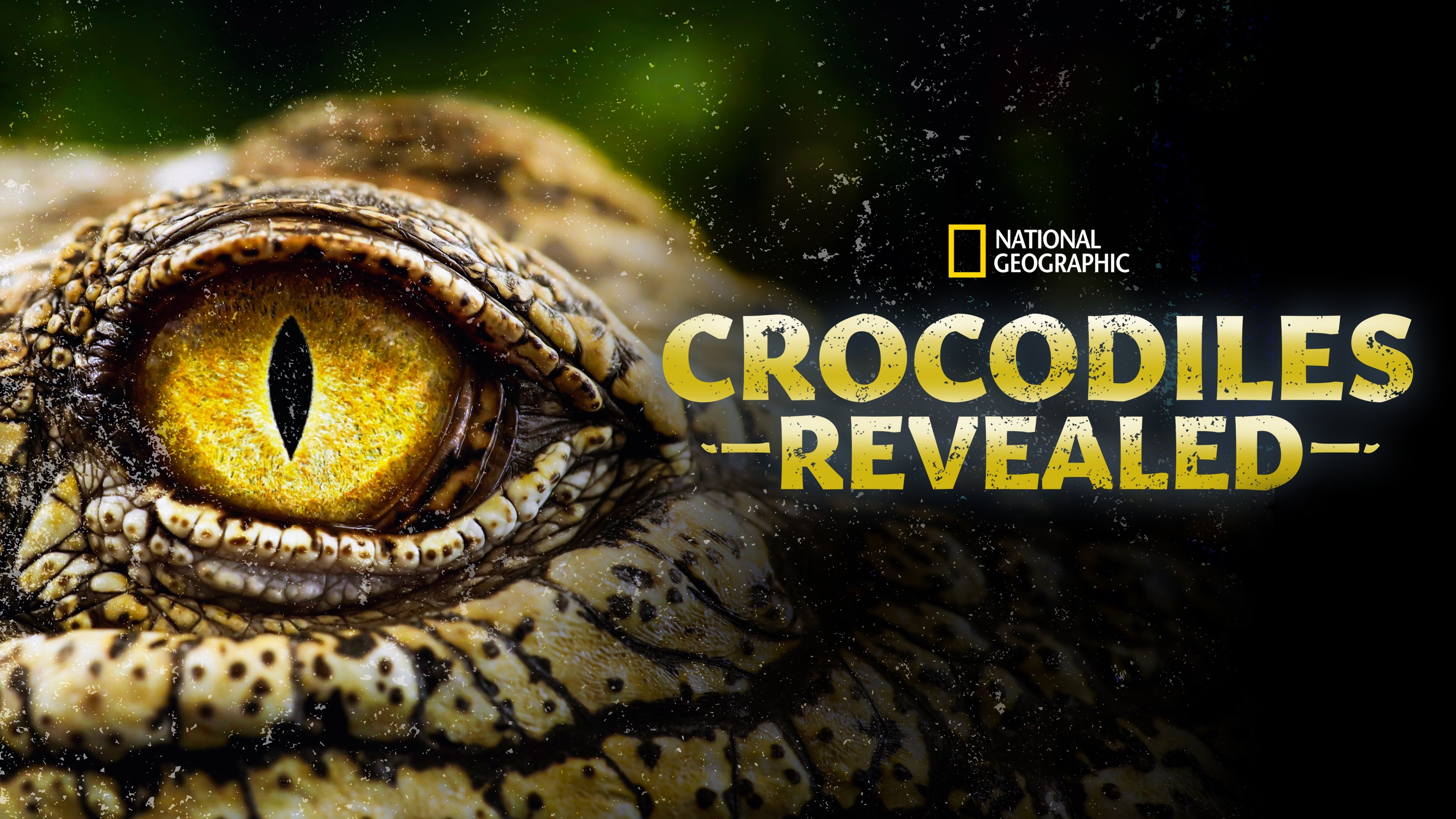Crocodiles Revealed (2022) - Plex