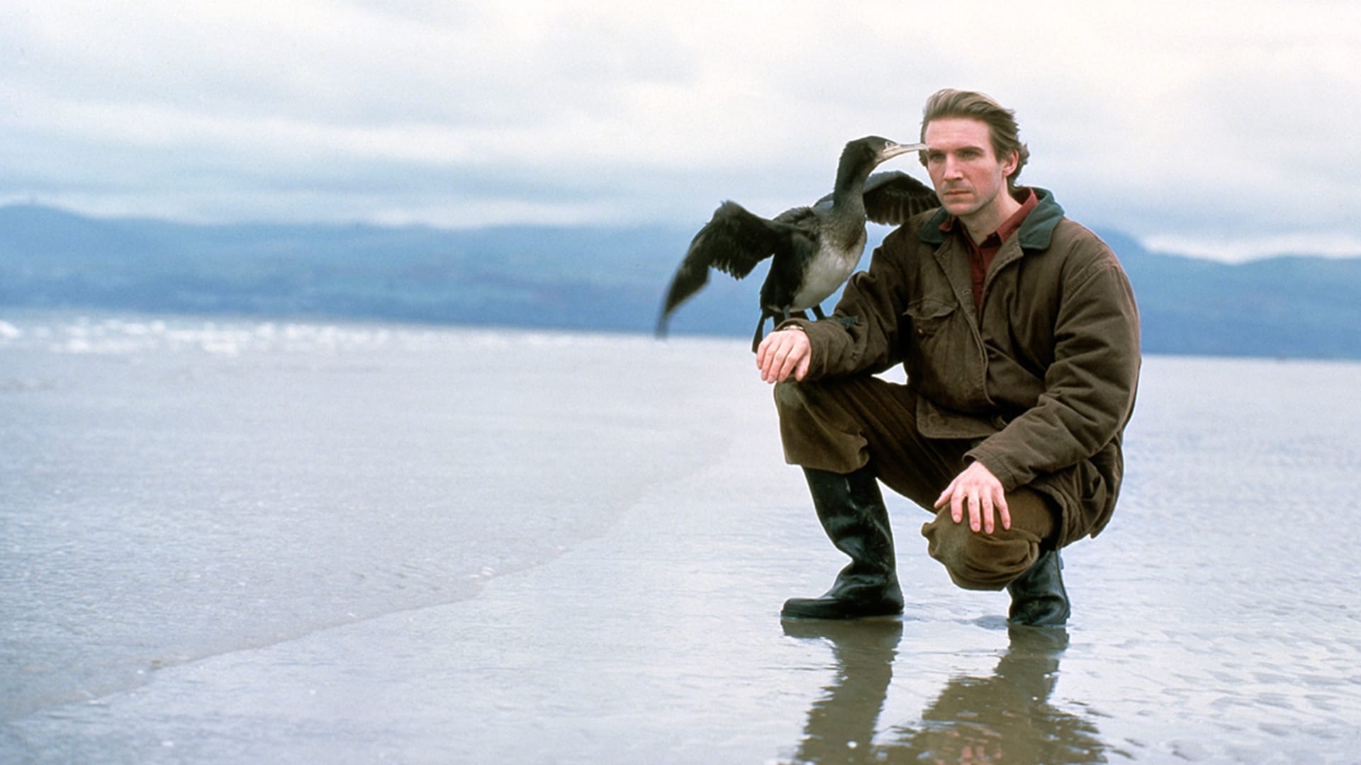 The Cormorant (1993)