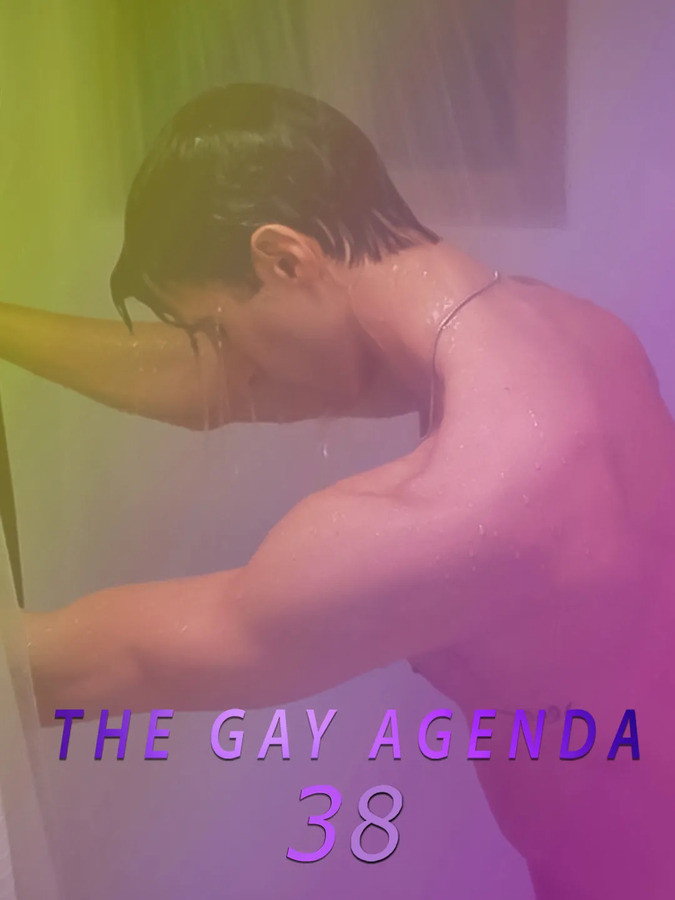 The Gay Agenda 38 movie poster