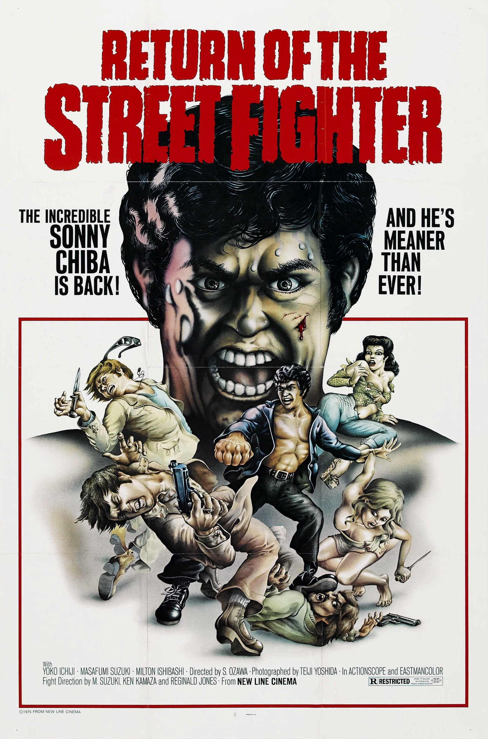 Return of the Street Fighter