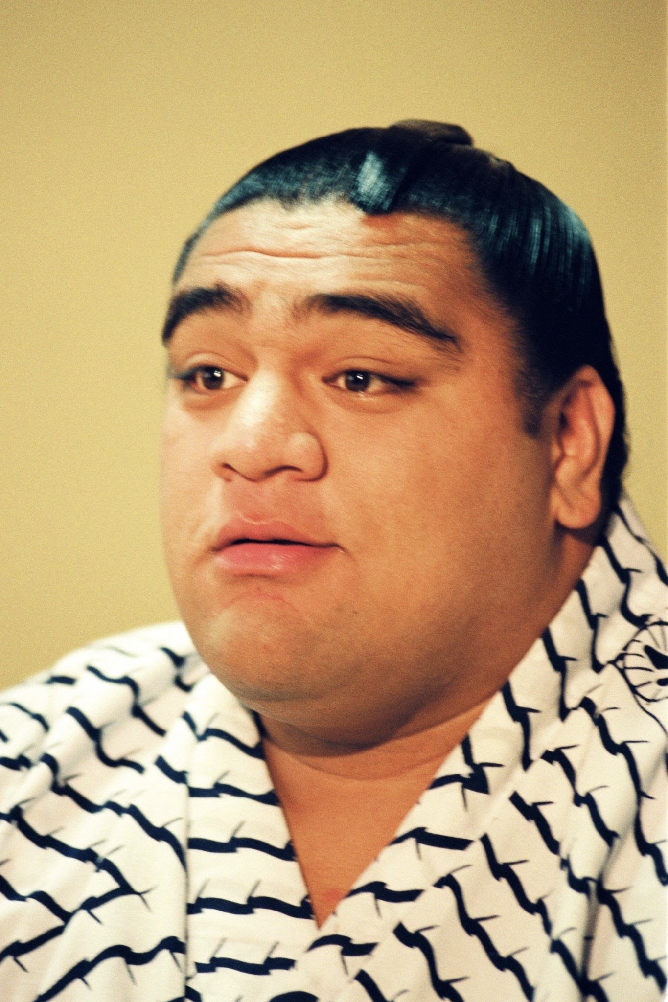 et billede af Musashimaru