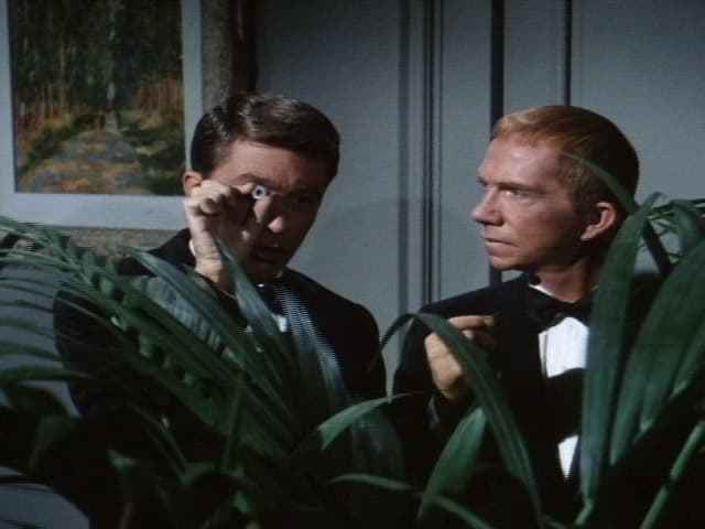 My Favorite Martian