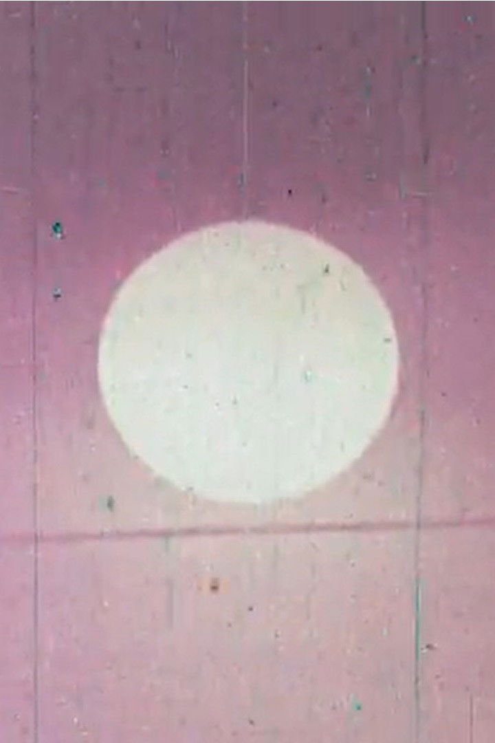 Wandering Through Winter