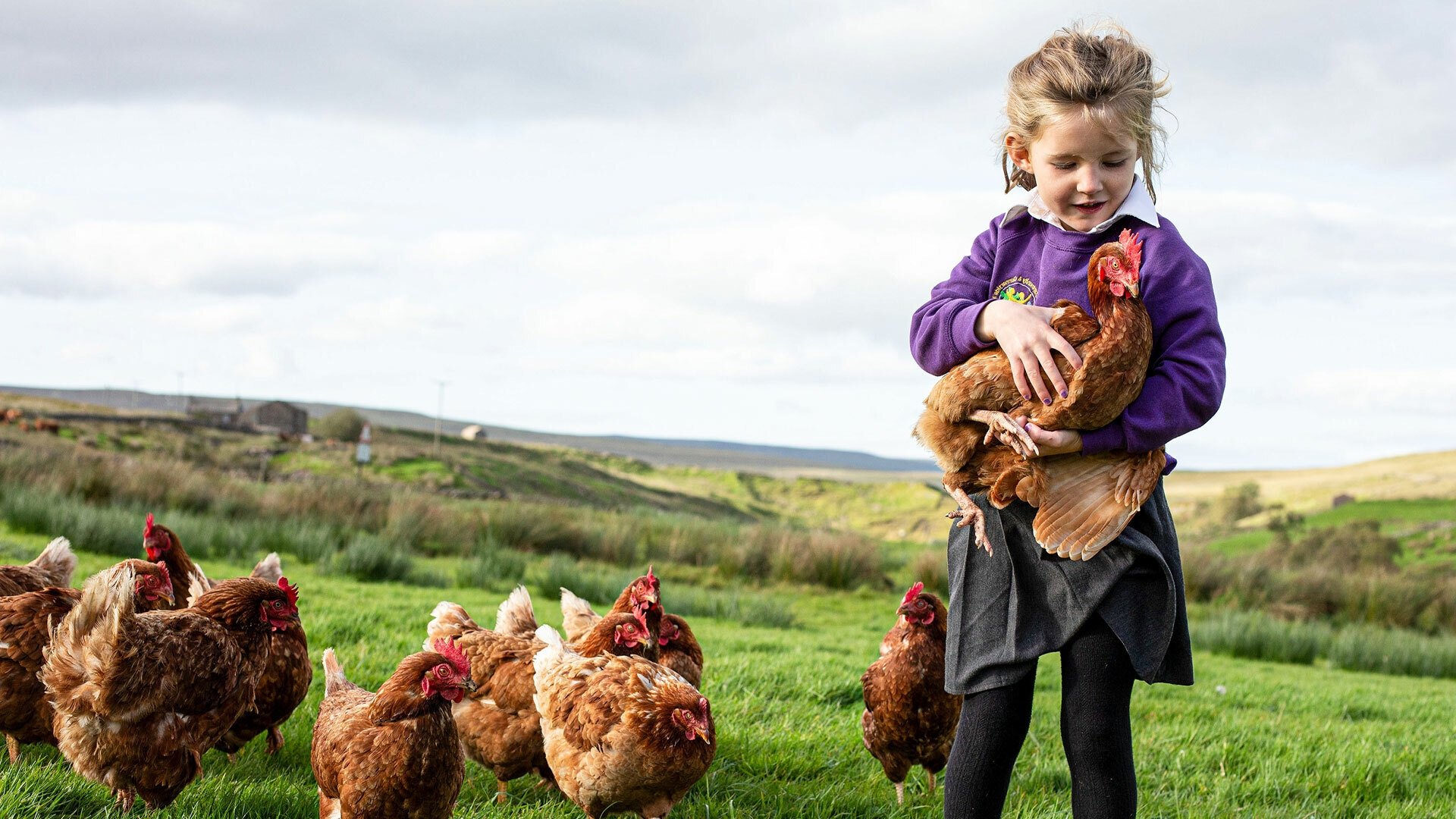 Our Yorkshire Farm