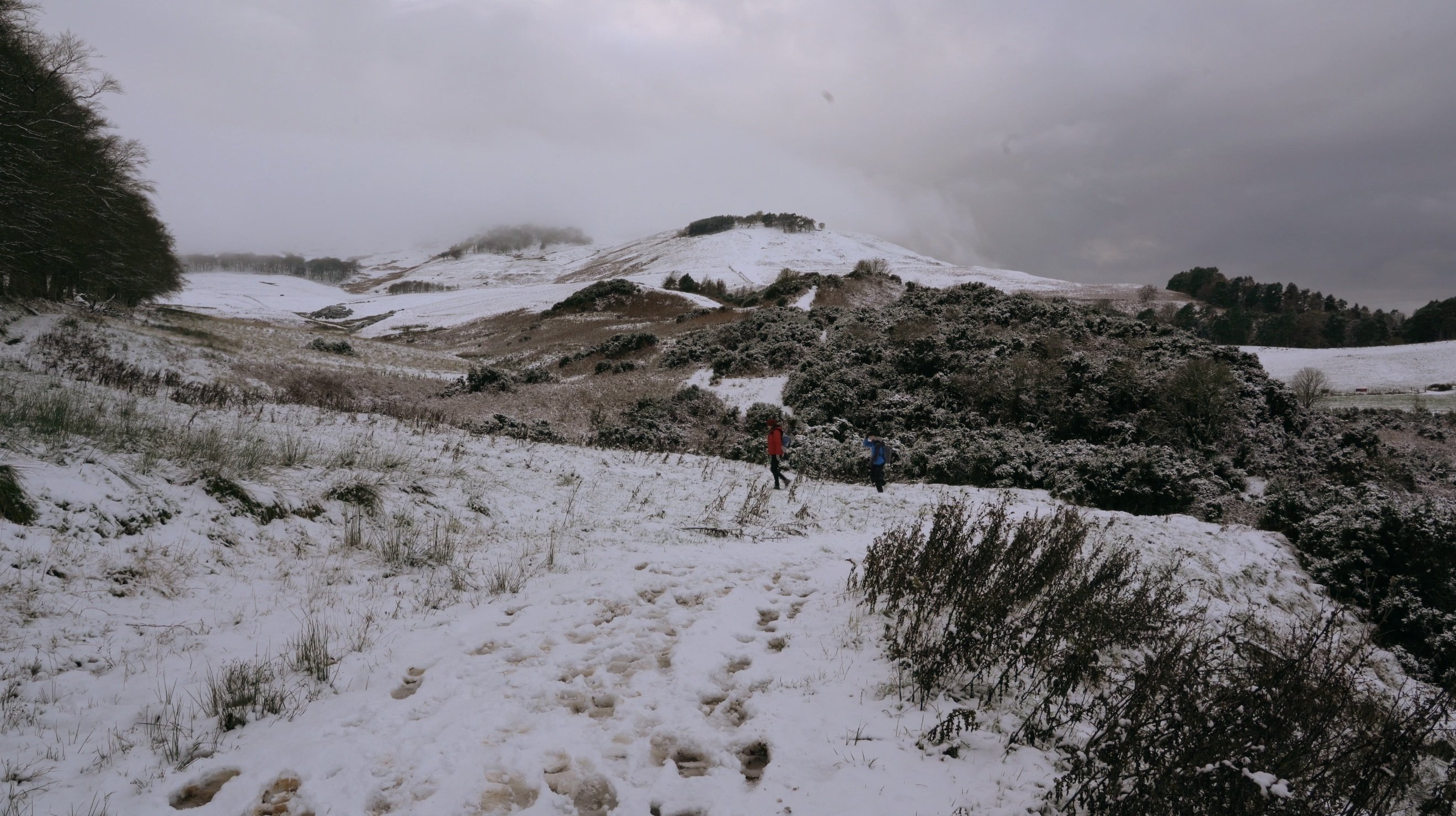 Camping (2024)