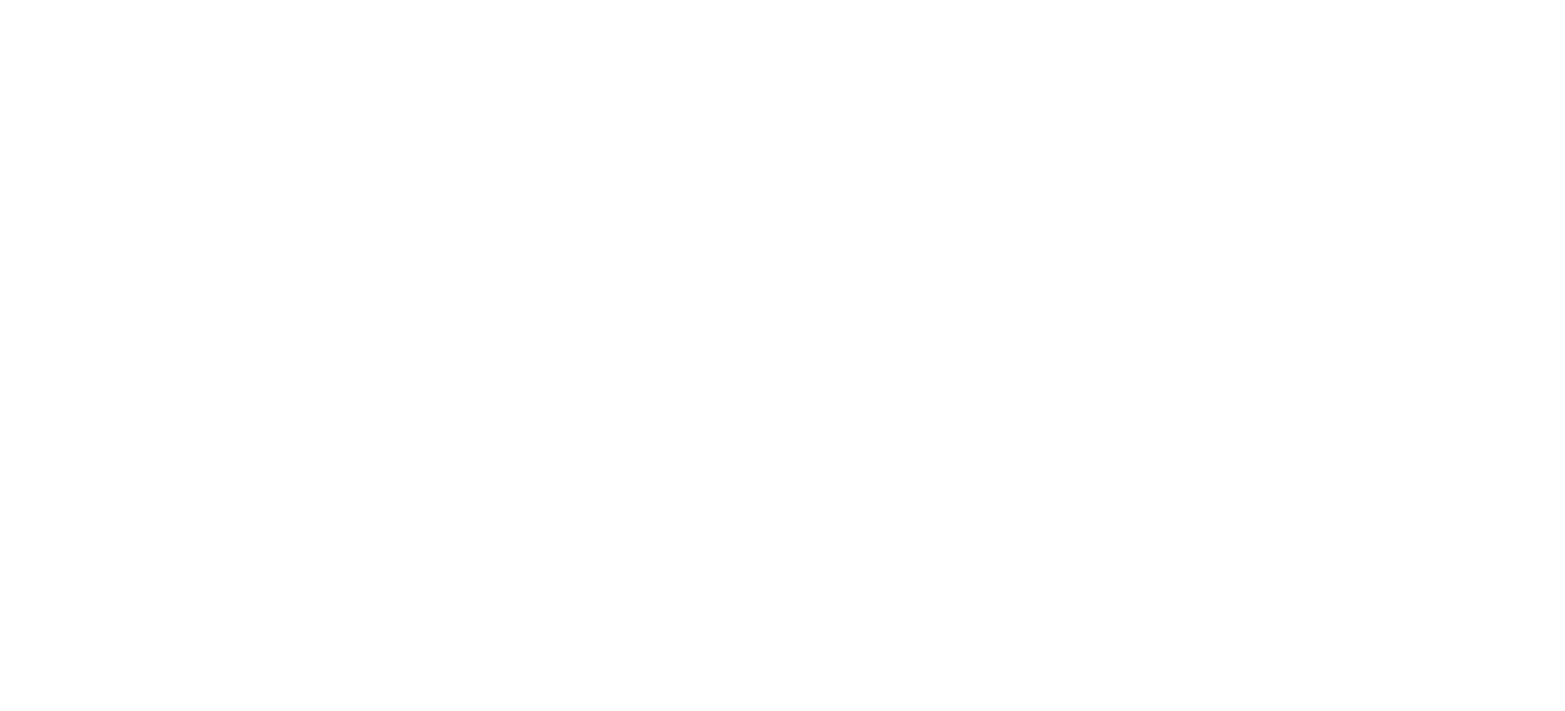 Big Dragon Logo