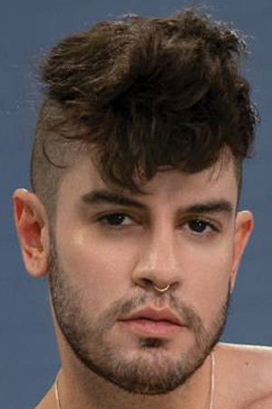 et billede af Ace Stallion