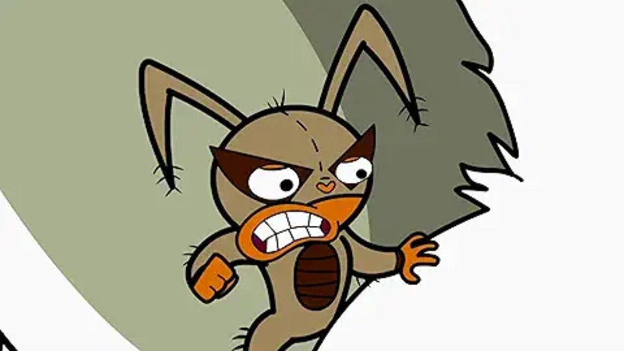 ¡Mucha Lucha!