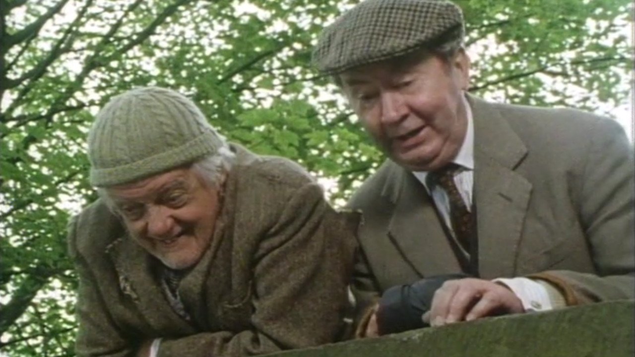 Last of the Summer Wine